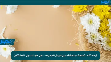 أزمة تكاد تعصف بصفقة بيراميدز الجديدة.. من هو البديل المنتظر؟